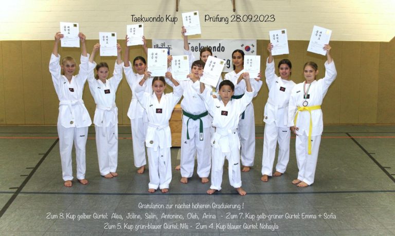 Starke Taekwondo Prüfungsleistung - Anfängerbereich liefert ordentlich ab